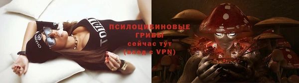 спиды Карталы